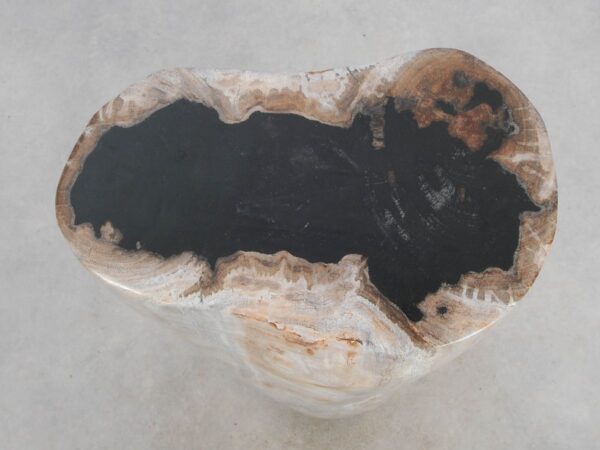 Side table petrified wood 49069