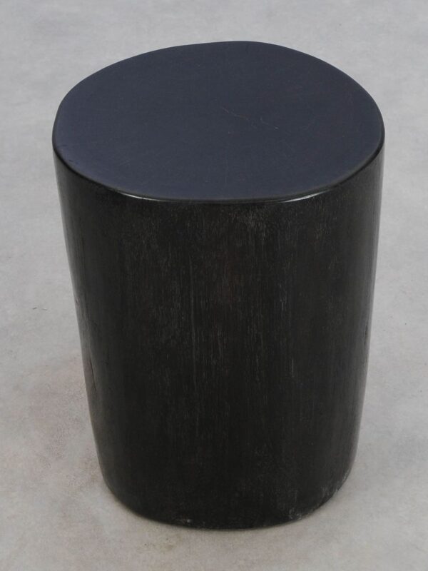Side table petrified wood 49072