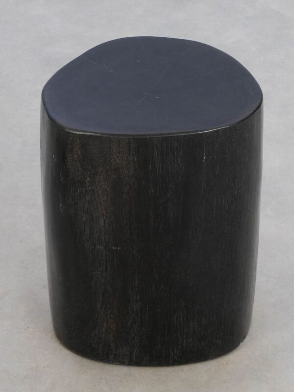 Side table petrified wood 49075