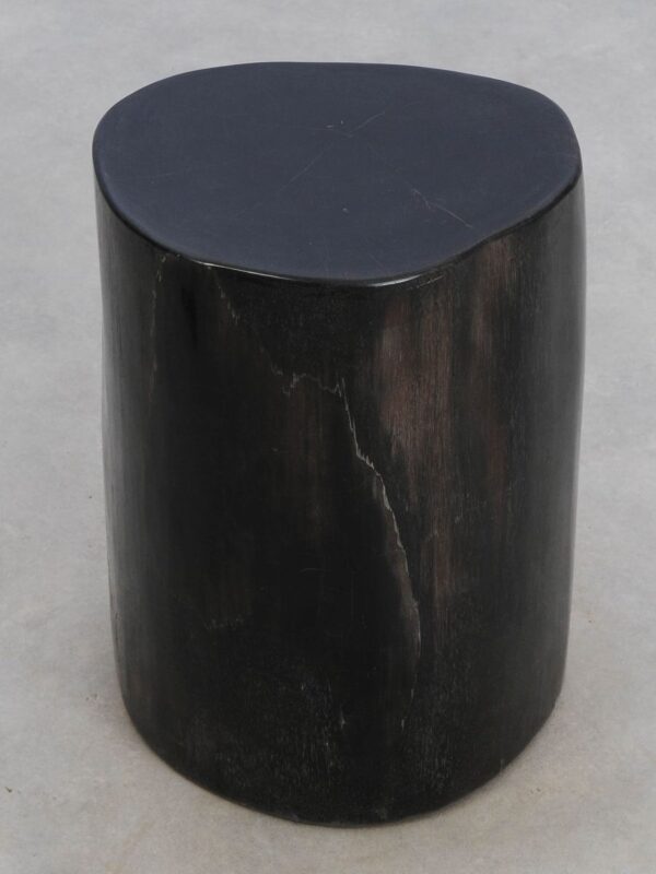 Side table petrified wood 49075