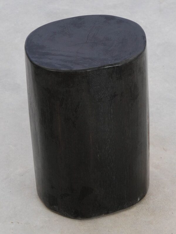 Side table petrified wood 49078