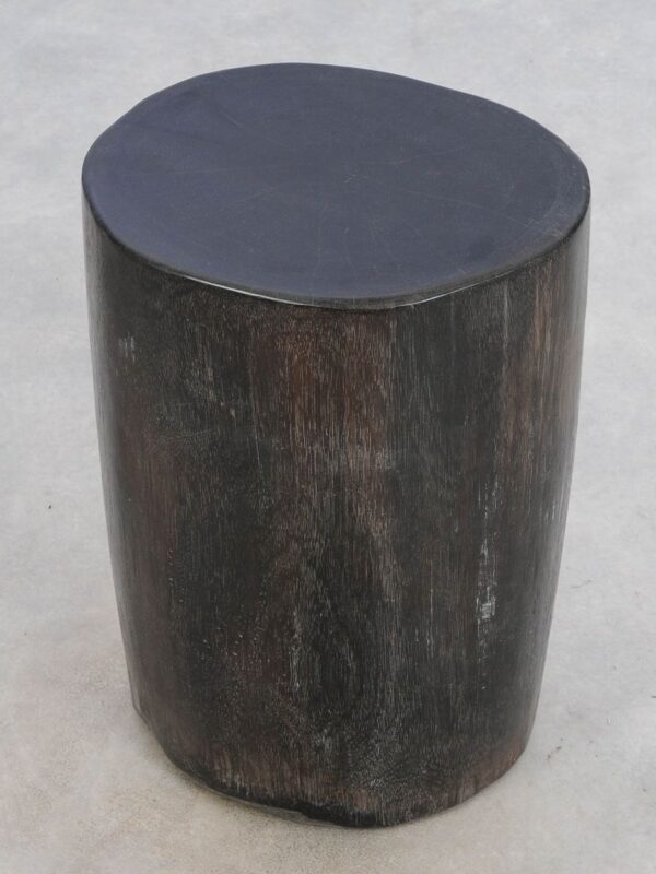 Side table petrified wood 49079
