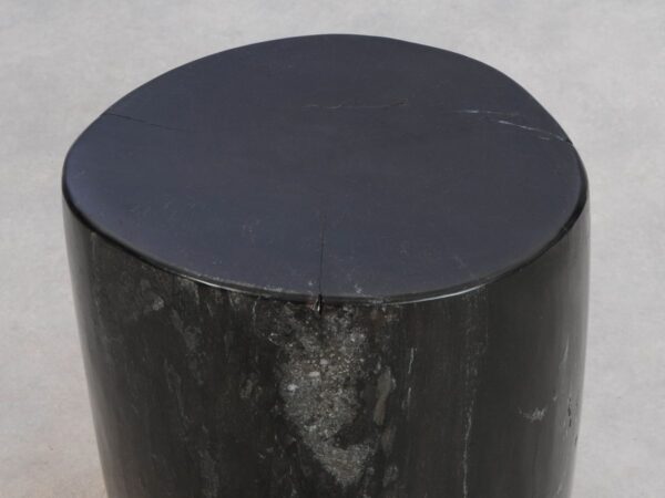 Side table petrified wood 49081