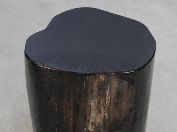 Side table petrified wood 49083