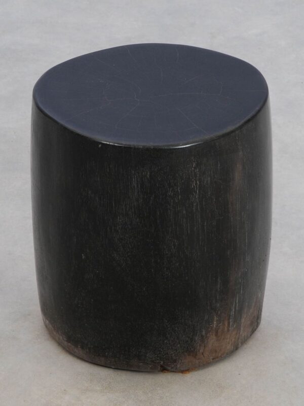 Side table petrified wood 49084