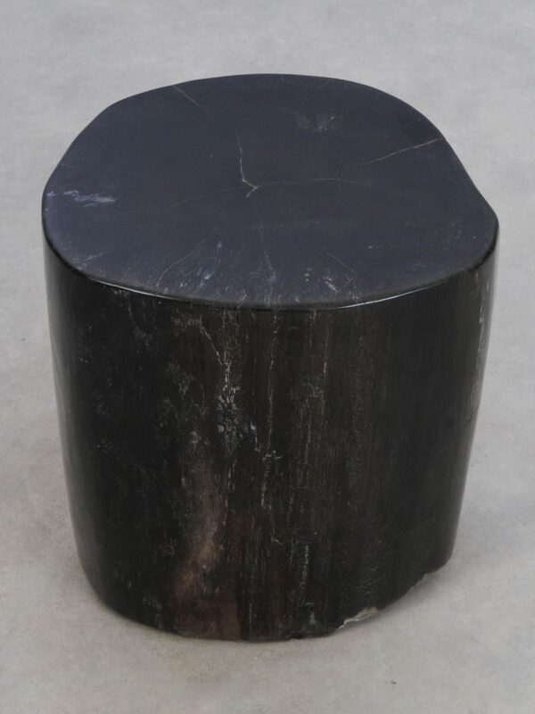 Side table petrified wood 49086