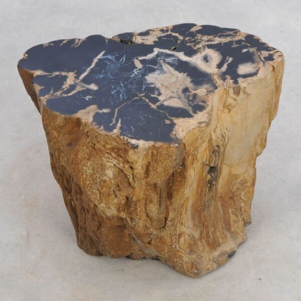 Side table petrified wood 49092