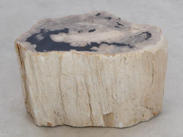 Side table petrified wood 49103