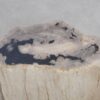 Side table petrified wood 49103
