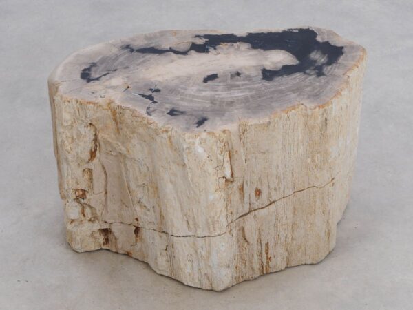 Side table petrified wood 49103