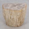 Side table petrified wood 49104