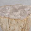 Side table petrified wood 49104