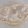 Side table petrified wood 49104