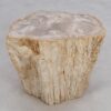 Side table petrified wood 49104
