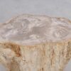 Side table petrified wood 49104