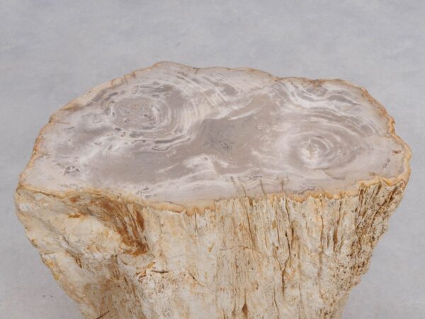 Side table petrified wood 49104