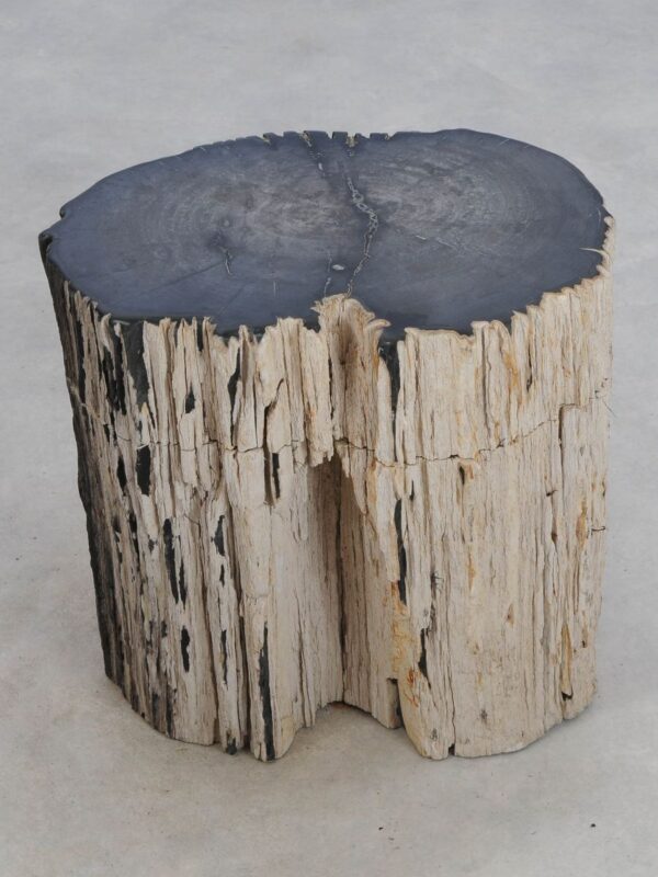 Side table petrified wood 49107