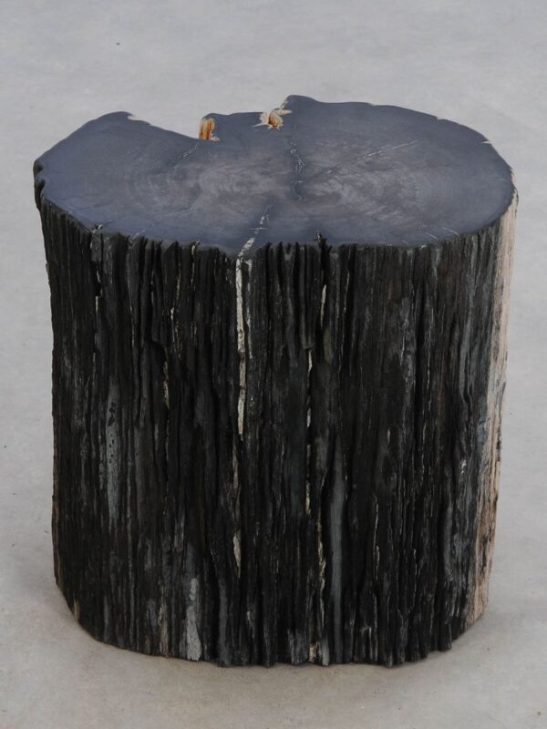 Side table petrified wood 49108