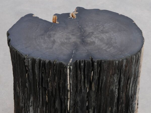 Side table petrified wood 49108