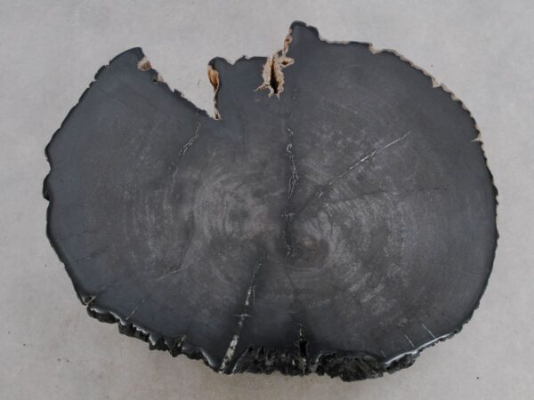 Side table petrified wood 49108