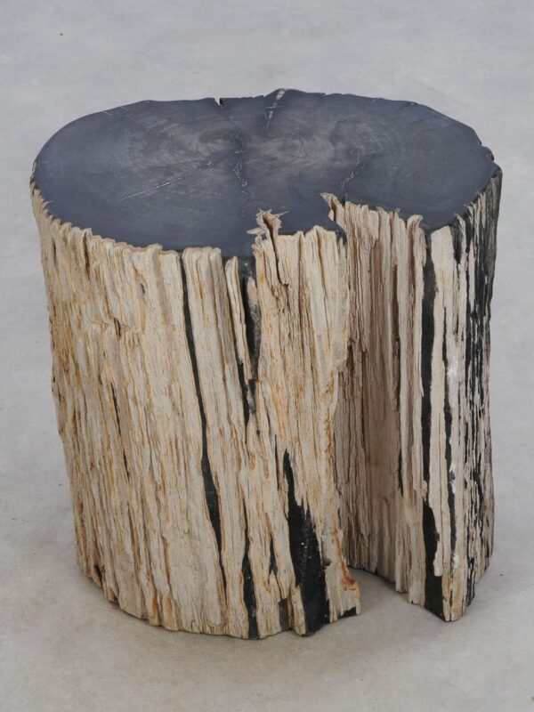 Side table petrified wood 49108