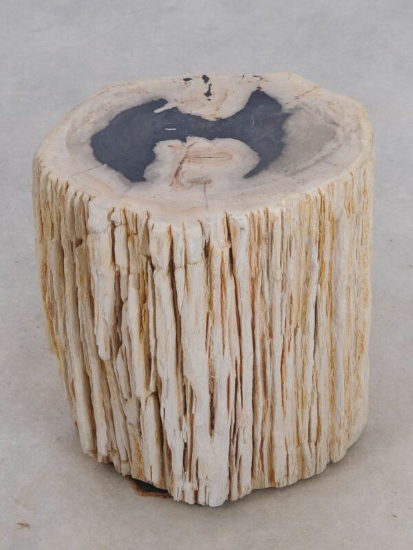 Side table petrified wood 49109