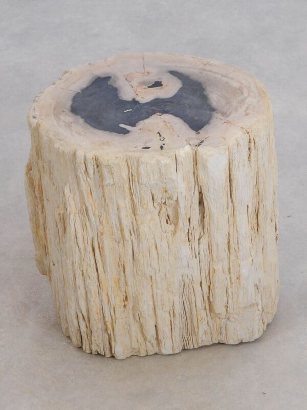 Side table petrified wood 49110