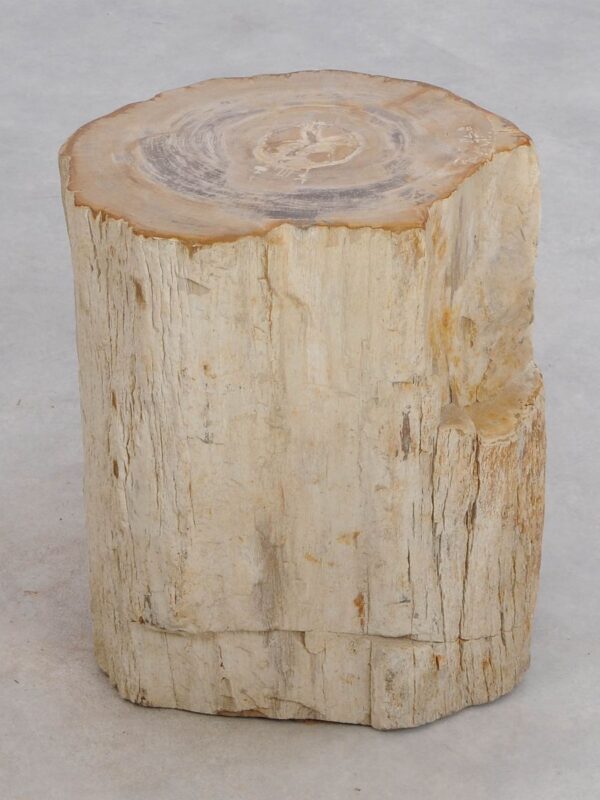 Side table petrified wood 49114