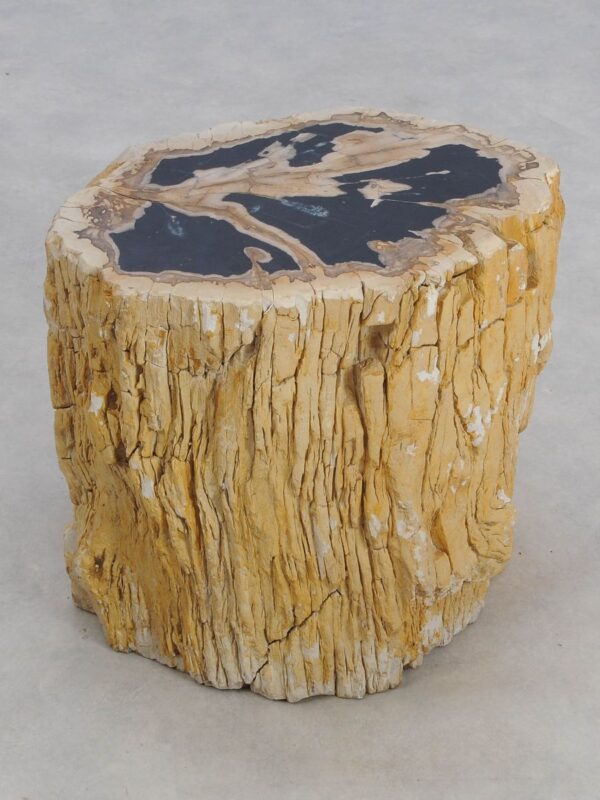 Side table petrified wood 49116
