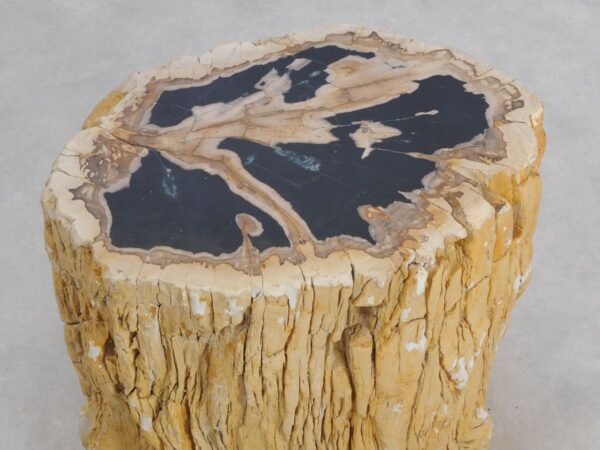 Side table petrified wood 49116