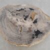 Side table petrified wood 49364