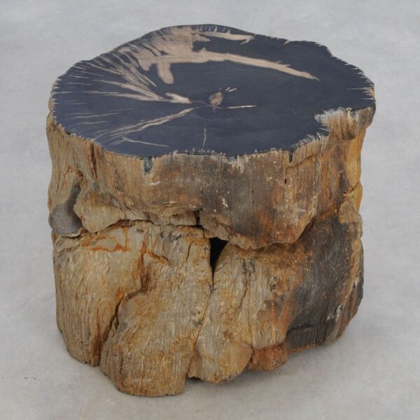 Side table petrified wood 49371