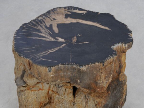 Side table petrified wood 49371