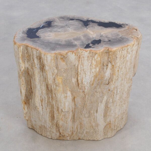 Side table petrified wood 49372