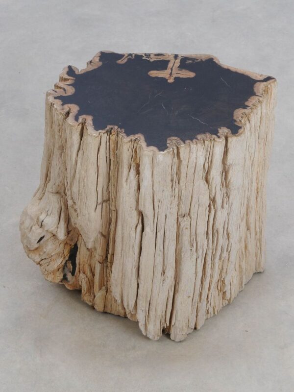 Side table petrified wood 49374