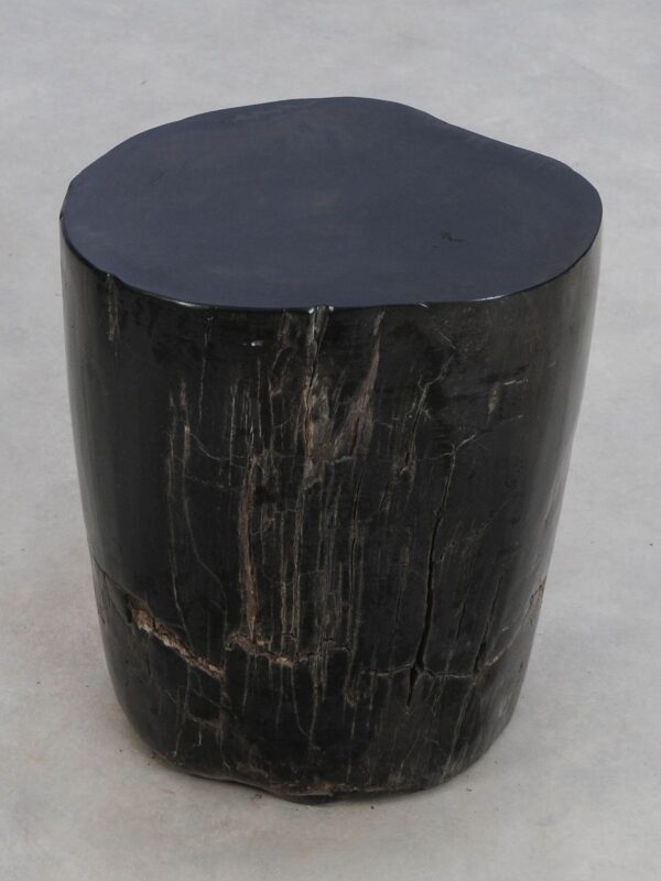 Side table petrified wood 49375