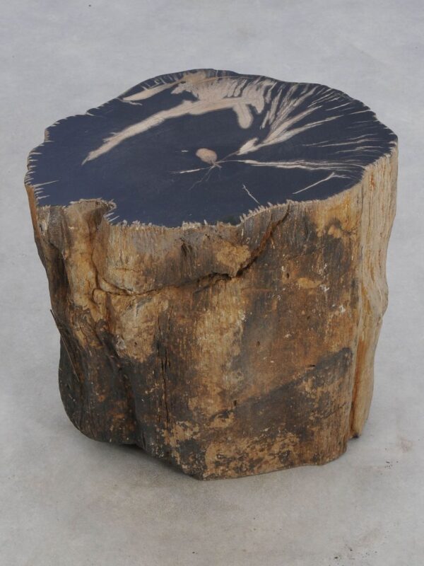 Side table petrified wood 49378