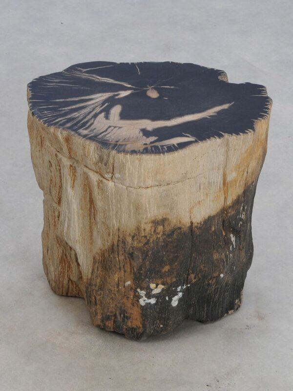 Side table petrified wood 49378