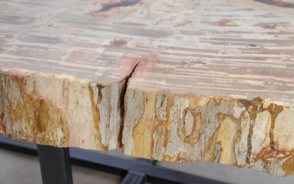 Table basse bois pétrifié 48152