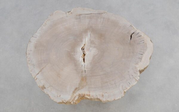 Table basse bois pétrifié 49157