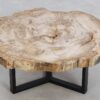 Table basse bois pétrifié 49172