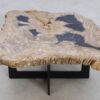 Table basse bois pétrifié 49185