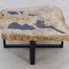 Table basse bois pétrifié 49186