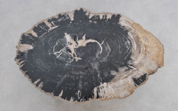 Table basse bois pétrifié 49224