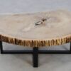 Table basse bois pétrifié 49252
