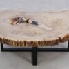 Table basse bois pétrifié 49256