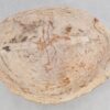 Table basse bois pétrifié 49264