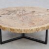 Table basse bois pétrifié 49264