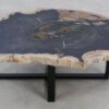 Table basse bois pétrifié 49281