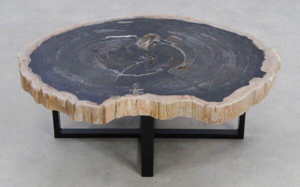 Table basse bois pétrifié 49286
